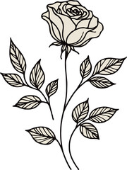 PNG Hand drawn vintage Doodle sketch drawing, rose flower, Collection leaves, set of flowers, Botanical illustration flowers outline, black and white roses line art, plant buds, leaf stem, cards