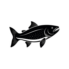 fish isolated on white background