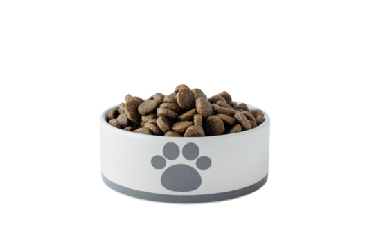 Dry dog food in white bowl cut out on transparent background. Plate full of mineral healthy dog or cat food for design. Pet dried granular food.