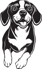 Fototapeta premium running beagle dog