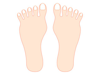 ネイルアートの練習用の両足の爪のイラスト素材3