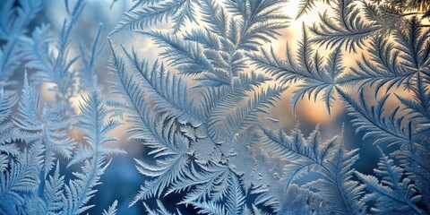 Frosty Natural Pattern on Winter Window - Icy frost covering a windowpane with intricate branching patterns and delicate swirling shapes , cold , window