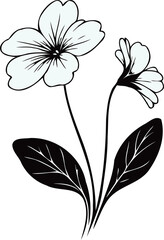 PNG Hand drawn pansies sketch, Violet Wittrock buds flower, leaf, set of  spring flowers vector, illustration outline drawing, botanical black and white line art, lineart leaves and stems