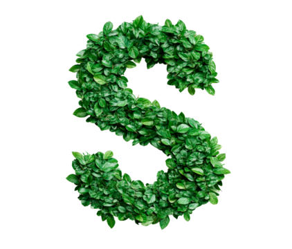 Letter S made with leaves isolated on transparent background