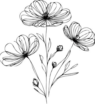 recommend clip art: PNG Sketch Illustration, outline black and white flower, floral drawing  wild flowers, Doodle Set of contour leaves and buds. Art of Plants, line art pattern cosmos, Chamomile, daisies, grasses, stems