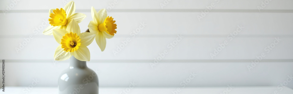 Poster Daffodil Flower Placed In A Modern Gray Vase On A Table With White Wood Shiplap And Empty Space To One Side.