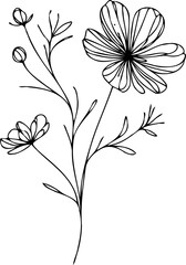 PNG Vintage Sketch Botanical Illustration, outline black and white flower, floral drawing of wild flowers, Set of leaves and buds Floral Art of Plants