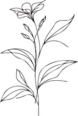 PNG Sketch Illustration, outline black and white flower, floral drawing of wild flowers, Doodle Set of leaves and buds Floral Art of Plants, line art lily pattern