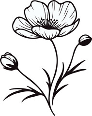 PNG Hand drawn peony sketch, peonies buds flower, leaf, set of anemone flowers vector, illustration outline drawing, poppy botanical black and white line art, lineart leaves and stems in engraving