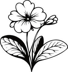 PNG Hand drawn pansies sketch, Violet Wittrock buds flower, leaf, set of  spring flowers vector, illustration outline drawing, botanical black and white line art, lineart leaves and stems in engraving