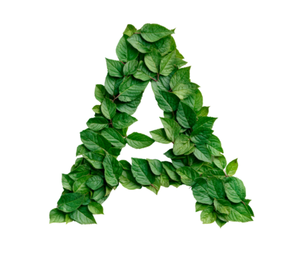Letter A made with leaves isolated on transparent background