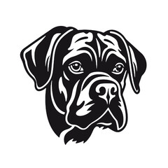 Fototapeta premium head of a boxer dog