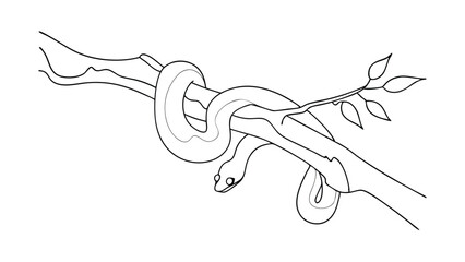 A simple line drawing depicts a snake coiled around a tree branch with leaves. The illustration is minimalistic and black and white, showcasing a reptile in its natural habitat.