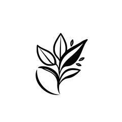 Simple Black and White Botanical Illustration of Leaves on White Background.