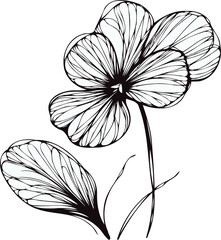 Fototapeta premium PNG Hand drawn pansies sketch, Violet Wittrock buds flower, leaf, set of spring flowers vector, illustration outline drawing, botanical black and white line art, lineart leaves and stems in engraving