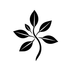 Black and White: Minimalist Design Showing A Branch. Leaves are the central focus.