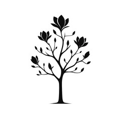 Obraz premium Silhouettes of magnolia tree with flowers and leaves.