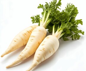 Fresh white radishes with vibrant green leaves ready for cooking or garnishing dishes
