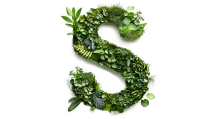 Font letter S formed by green moss fern leaves plant nature elements cutout isolated on transparent background, PNG