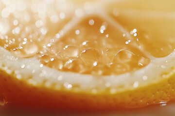 Wet Citrus Slice Close-Up
