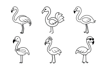 set of flamingo birds