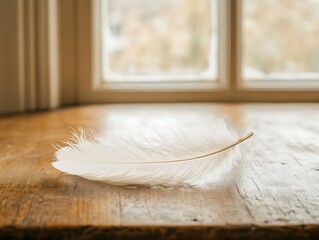 A Single White Feather Rests On A Wood Surface