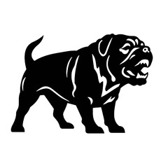 Obraz premium black and white English bulldog