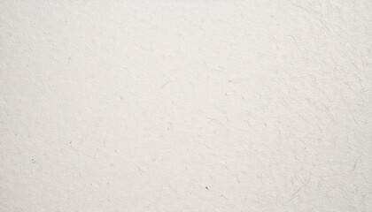 Obraz premium A subtle and delicate washi paper texture in soft off-white tones, perfect for clean and minimal designs.