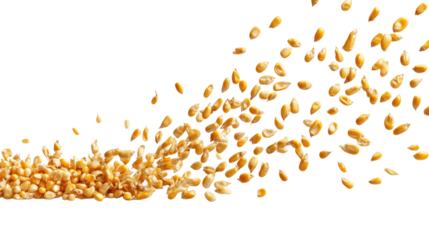 Yellow corn kernels cascading in a dynamic motion isolated on transparent background, PNG