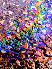 Oil Petrol Pollution Metallic  Rainbow Gasoline Leak on Pavement