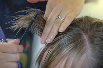 Naklejka premium Combing and inspecting the bangs on the forehead before cutting