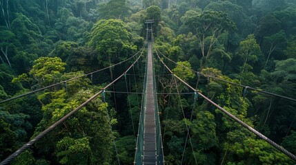 Obraz premium Exploring cultural tourism a birdseye view of a canopy bridge in lush forests