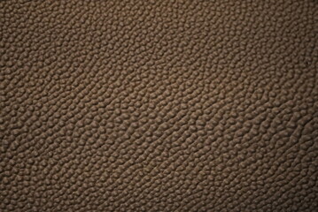 Fototapeta premium brown leather texture