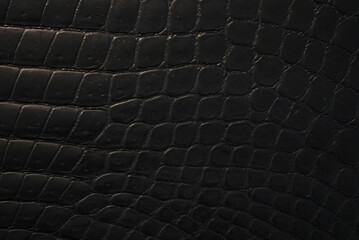 Fototapeta premium Snake skin background texture