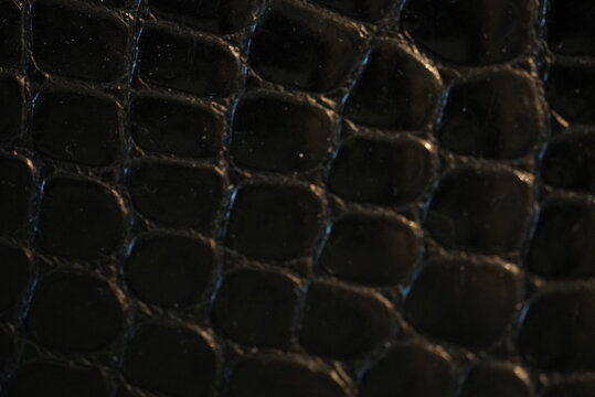 leather texture background