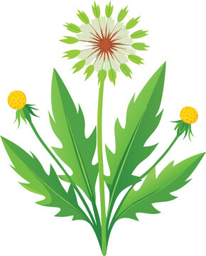 Dandelion clip art preview