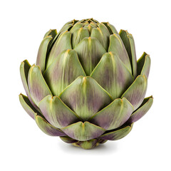 A single artichoke, showcasing its green and purple hues and layered petals against a white background with a subtle shadow