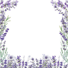 Square frame with lavender and a place for the text. Watercolor illustration of Provencal flowers. French style. Aromatherapy. Botanical illustration of flowers. Suitable for postcards, packages.