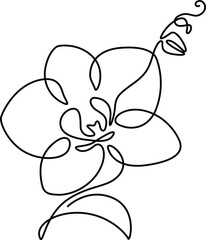 Orchid flower one-line drawing isolated on a white background. 