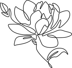 Magnolia flower one-line art isolated on a white background.