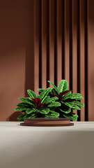 wall backdrop, 3d render image empty scene wood texture curved cylinder podium in portrait