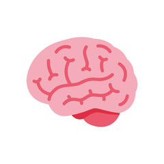 Brain 