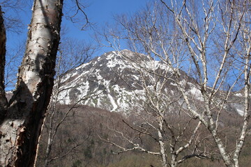 雪の残る日本の山、長野県松本市上高地からの焼岳、5月