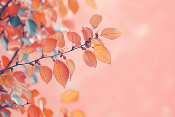 Coral Autumn Leaves Branch with Soft Pink Background and Delicate Seasonal Texture