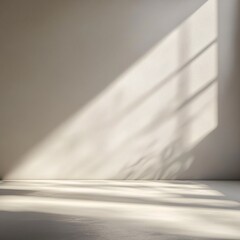 A minimalist image showcasing directional light and shadows effects