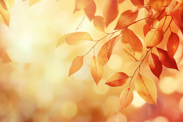 Golden Autumn Leaves in Warm Sunlight with Dreamy Bokeh Background