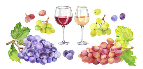 Watercolor hand painted wine glass and grapes fruit and leaves. Watercolor hand drawn DIY illustration isolated on white background, aromatherapy, essential oils, winery