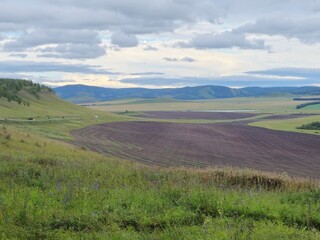 Naklejka premium Open spaces. Siberia. Summer.