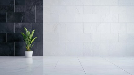 Fototapeta premium Modern Minimalist Interior with Potted Plant Against Black and White Wall in Spacious Room for Home Decor and Design Inspiration