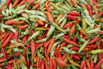 Vibrant Assortment of Colorful Chili Peppers in a Large Pile
